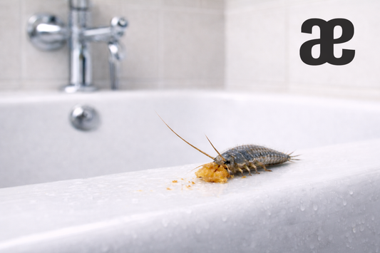 Silberfische im Bad