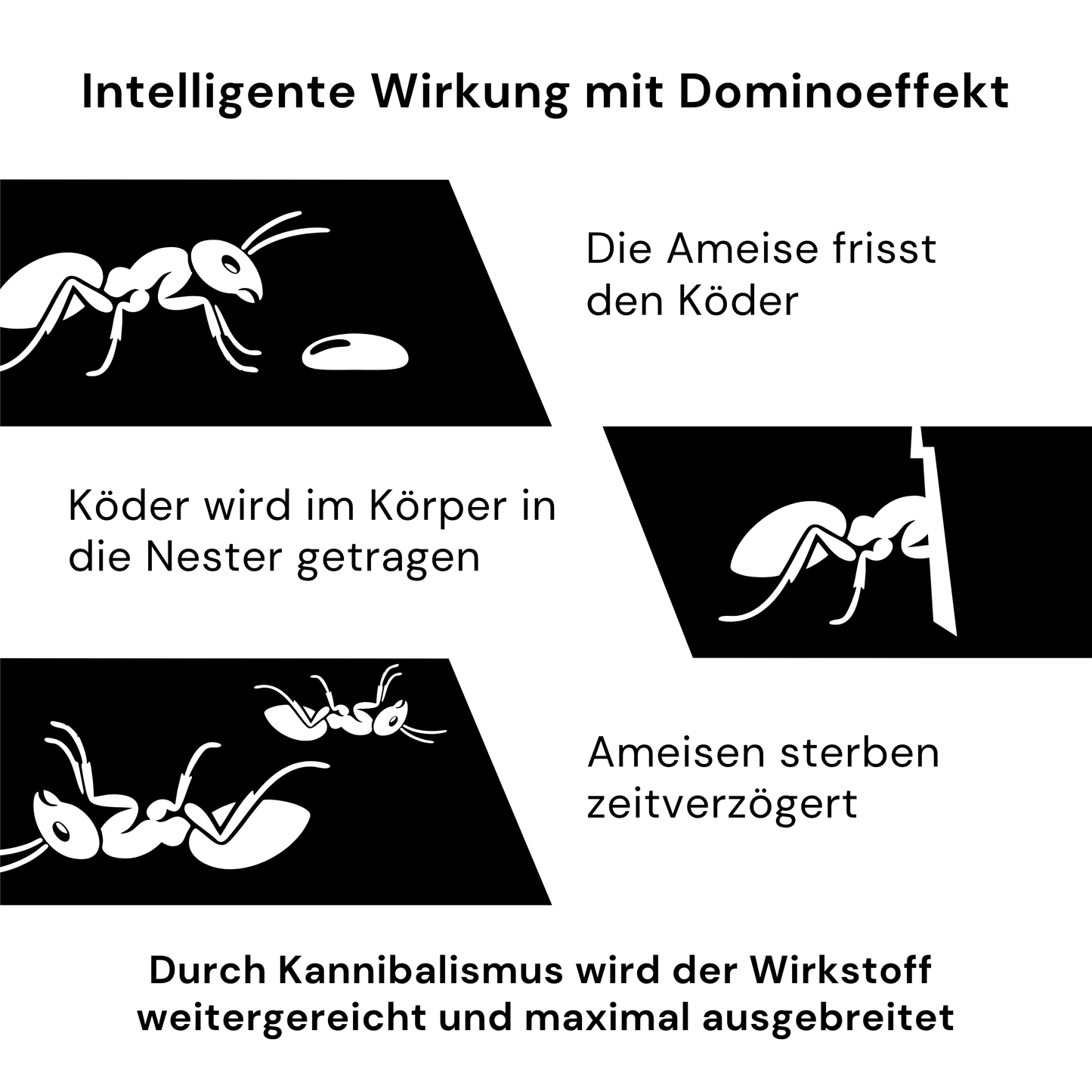 Novokill Ameisenköderdosen