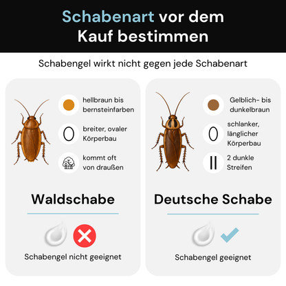 Novokill Schabengel 2x 10g