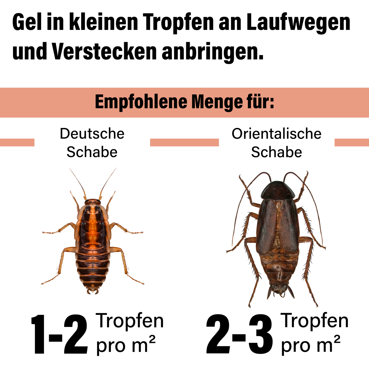 Novokill Schabengel 2x 10g