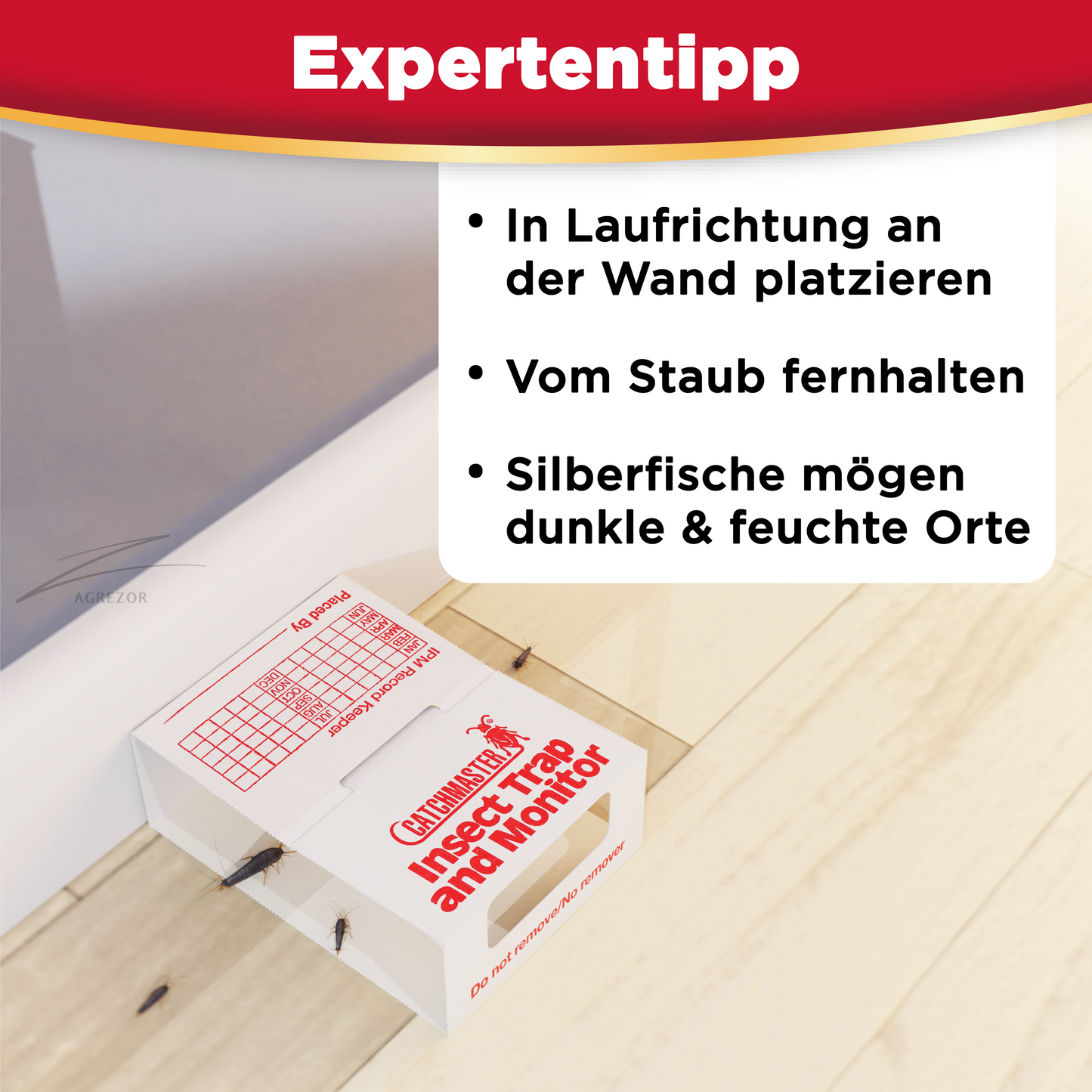 Anwendung der Catchmaster 288i Klebefalle durch Vorknicken und Aufstellen zur Beobachtung von Silberfischen