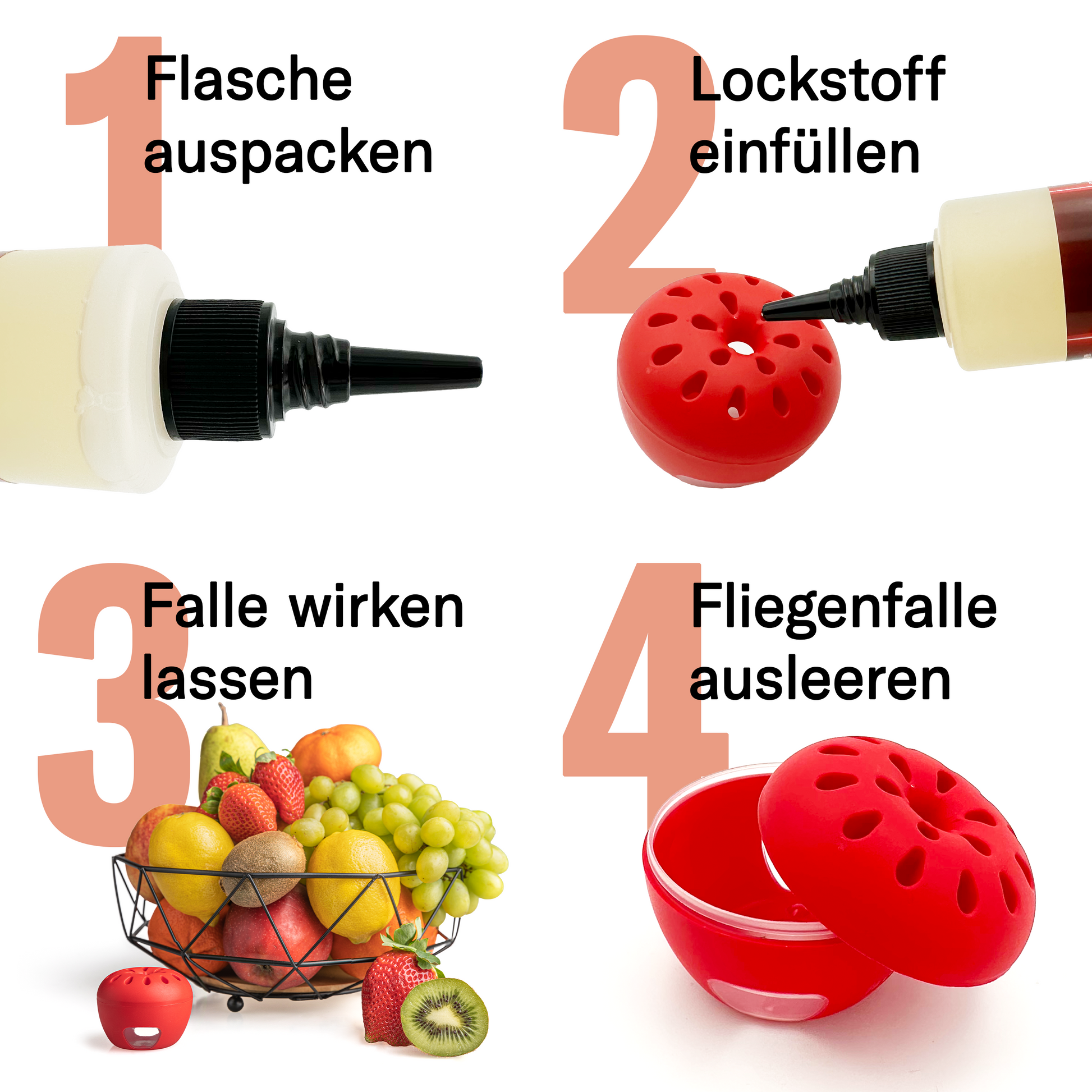 Schritt-für-Schritt Anleitung zur Anwendung der Fruchtfliegenfalle: Flasche auspacken, Lockstoff einfüllen, Falle wirken lassen und anschließend ausleeren.