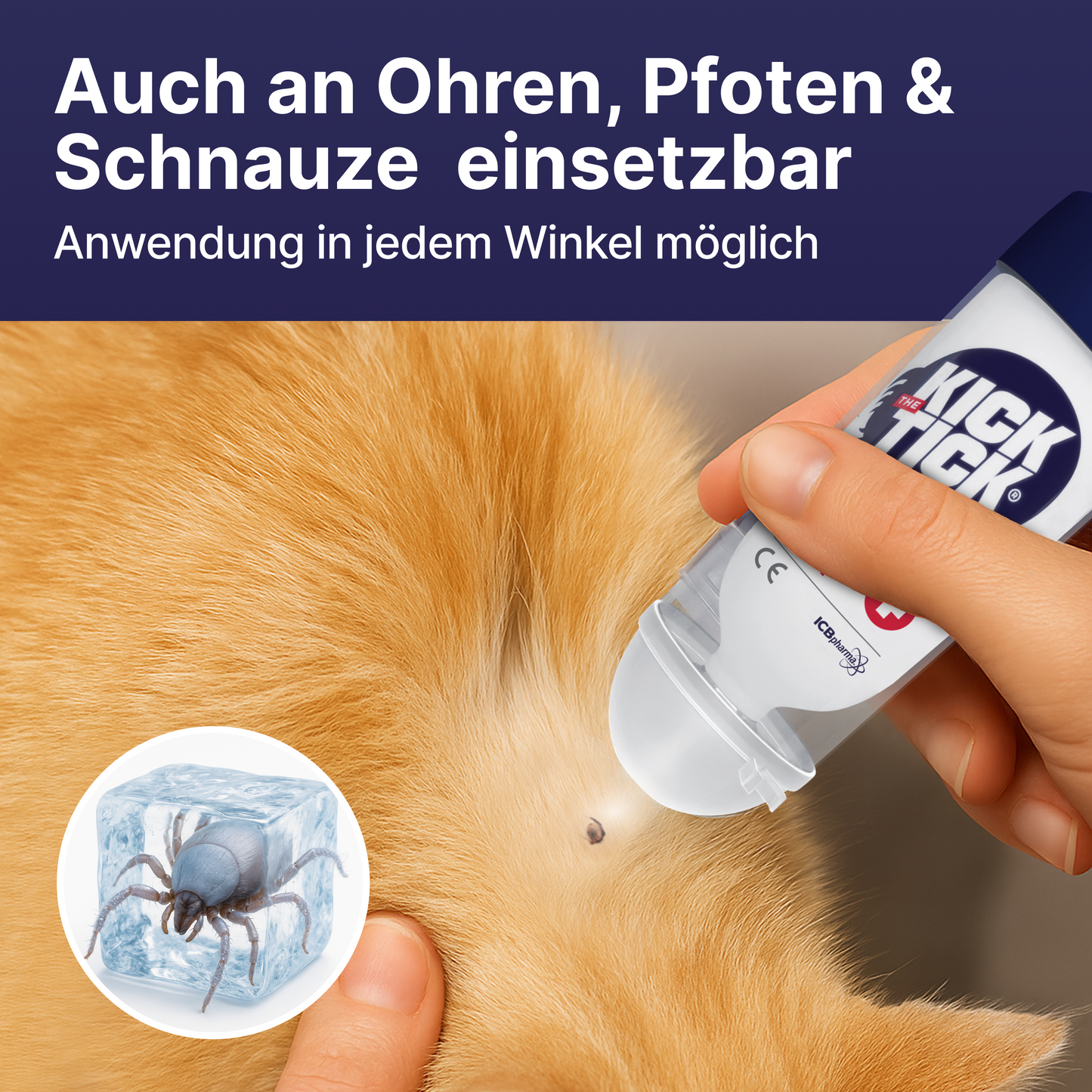 Kick the Tick Zeckenspray bei der Anwendung am Fell eines Hundes zur schonenden Entfernung von Zecken auch an empfindlichen Stellen wie Ohren und Pfoten