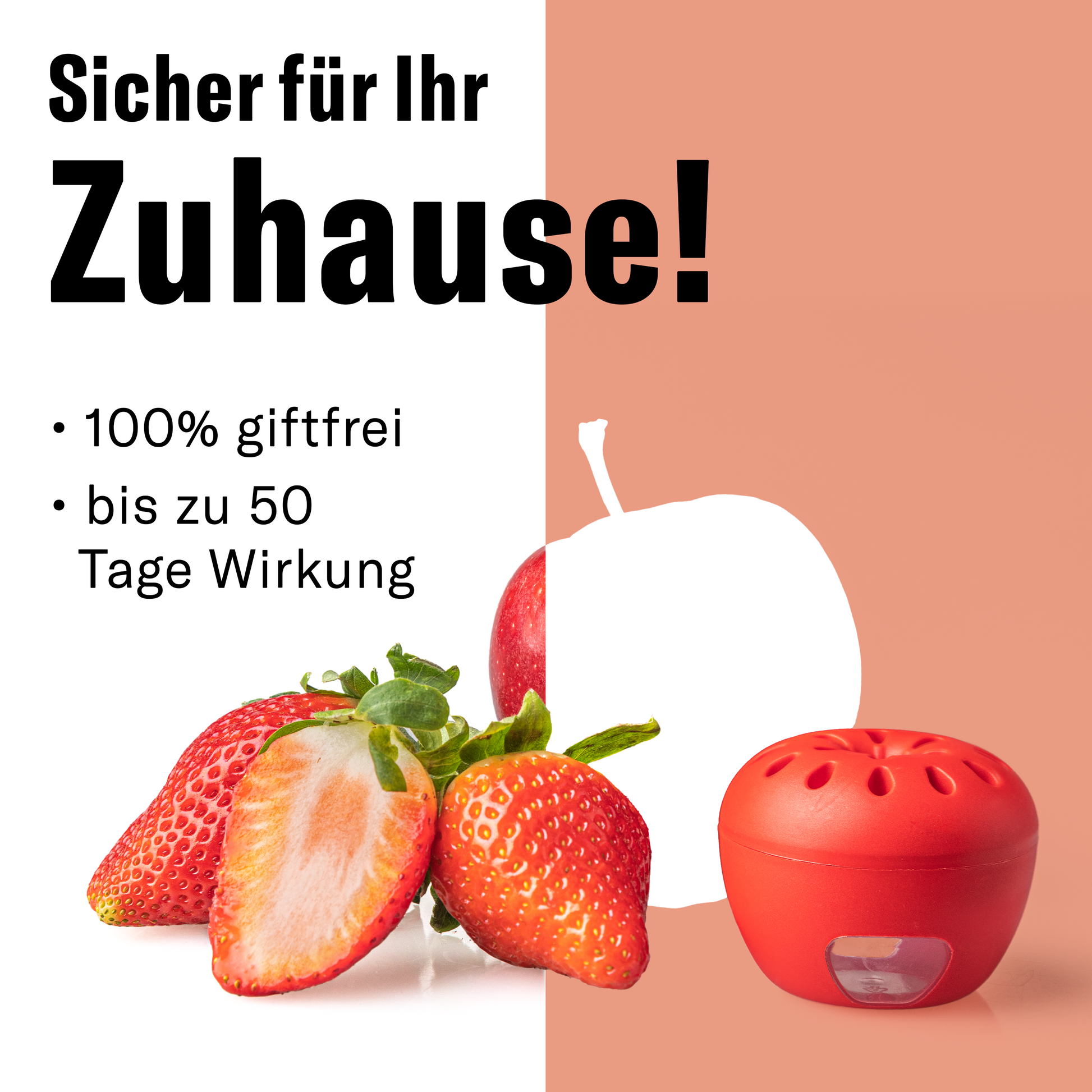 Novokill Fruchtfliegenfalle mit effektivem Lockstoff zur Bekämpfung von Fruchtfliegen und Obstfliegen in der Küche