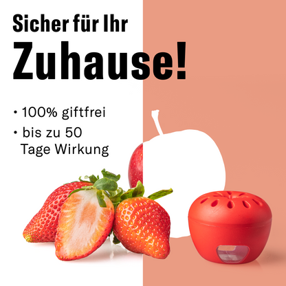 Novokill Fruchtfliegenfalle mit effektivem Lockstoff zur Bekämpfung von Fruchtfliegen und Obstfliegen in der Küche