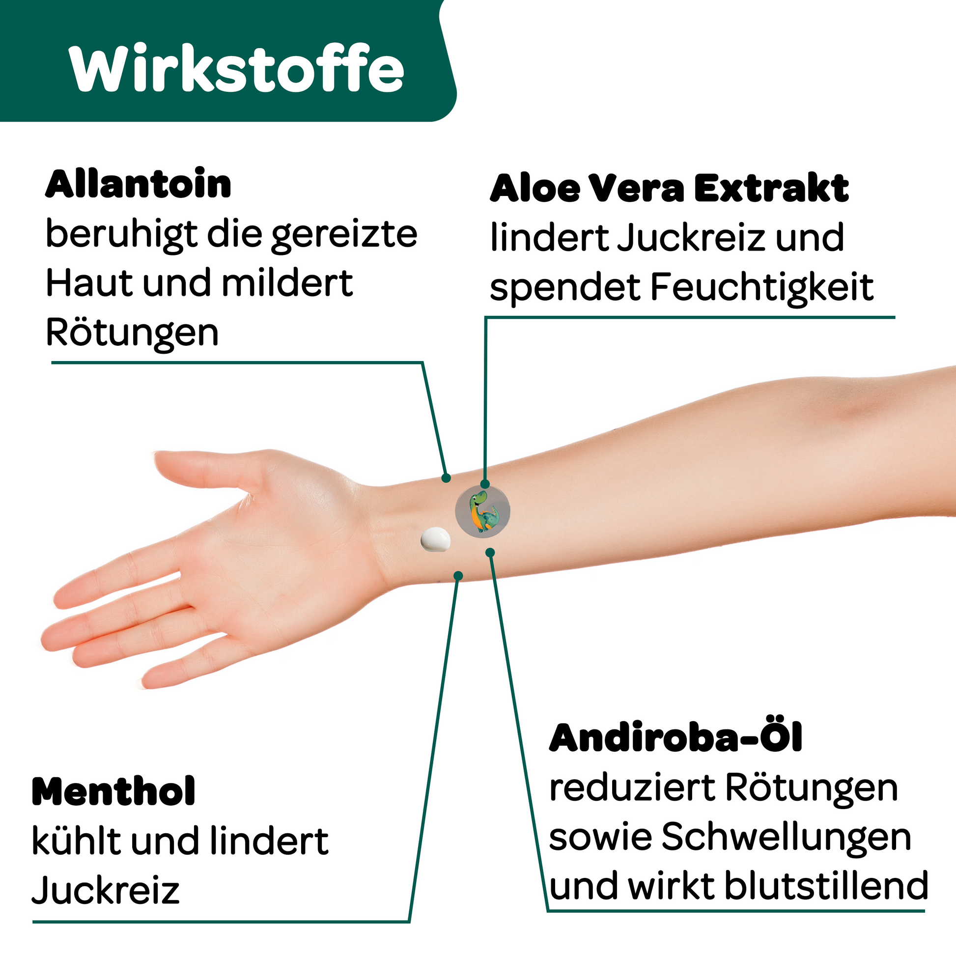 Grafik der Recotin Gel Wirkstoffe mit Allantoin, Aloe Vera Extrakt, Menthol und Andiroba-Öl zur Linderung von Juckreiz, Rötungen und Schwellungen.