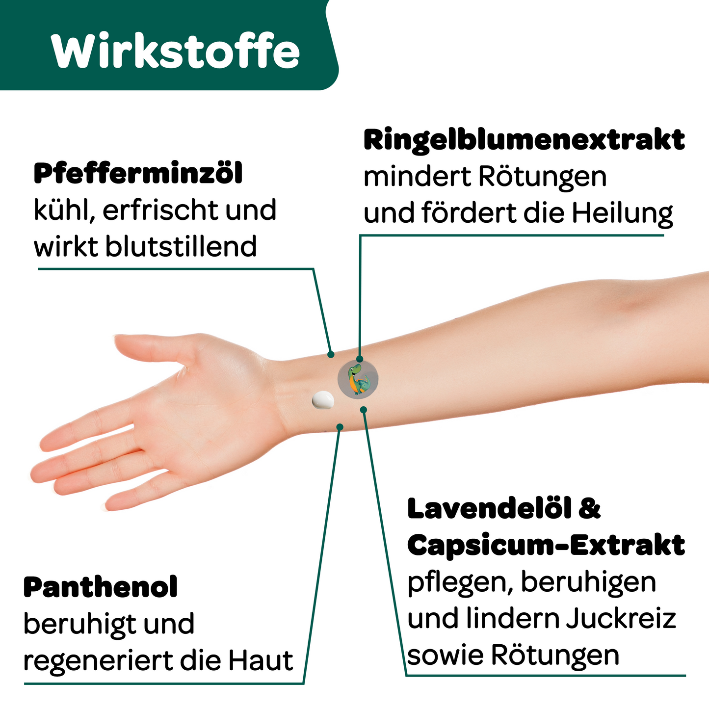 Infografik zu den Wirkstoffen des Recotin Mückengels mit Pfefferminzöl, Ringelblumenextrakt, Panthenol sowie Lavendelöl und Capsicum-Extrakt zur Linderung von Juckreiz und Rötungen.